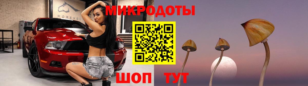 Галлюциногенные грибы прущие грибы Осинники